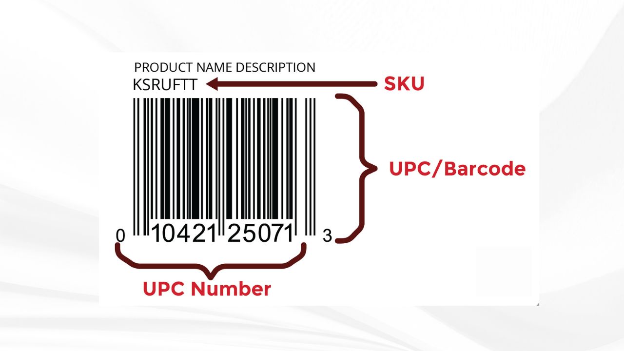 An Insight to the Key to Product Identification and SKUs